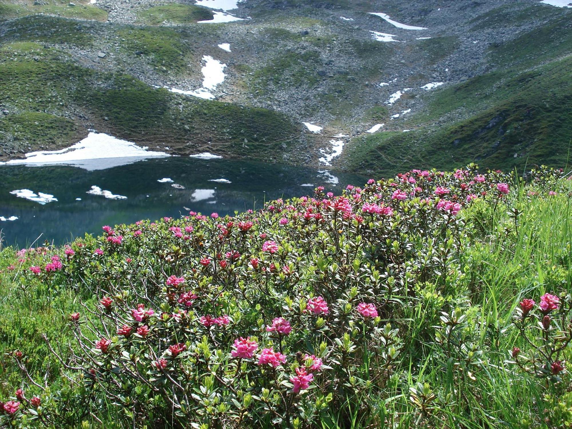Wanderhotel Kirchner Bramberg am Wildkogel Exteriör bild
